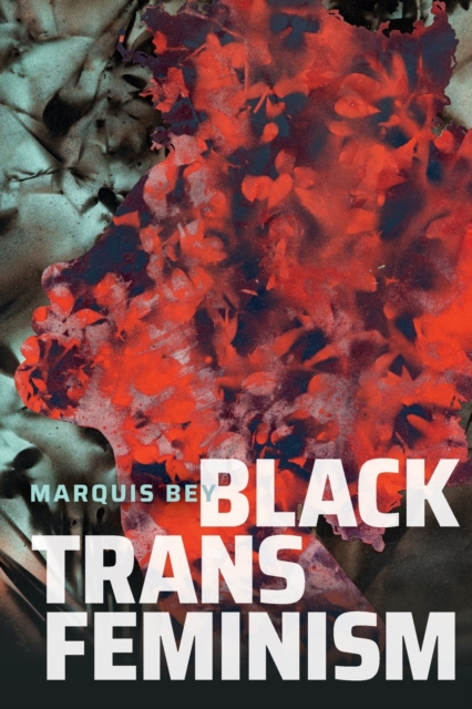 Black Trans Feminism, Paperback / softback Book