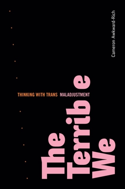 The Terrible We : Thinking with Trans Maladjustment, Paperback / softback Book