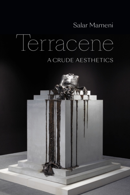 Terracene : A Crude Aesthetics, Hardback Book