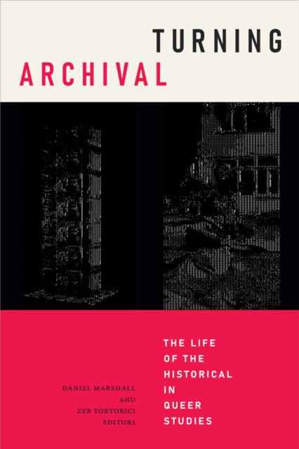 Turning Archival : The Life of the Historical in Queer Studies, PDF eBook