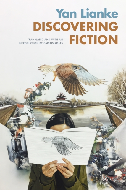 Discovering Fiction, PDF eBook