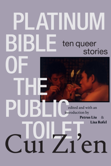 Platinum Bible of the Public Toilet : Ten Queer Stories, Hardback Book