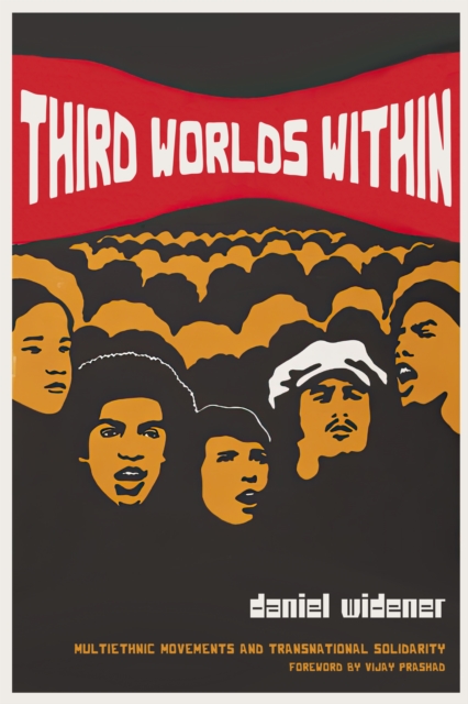 Third Worlds Within : Multiethnic Movements and Transnational Solidarity, Hardback Book