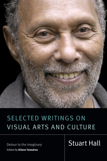 Selected Writings on Visual Arts and Culture : Detour to the Imaginary, Hardback Book