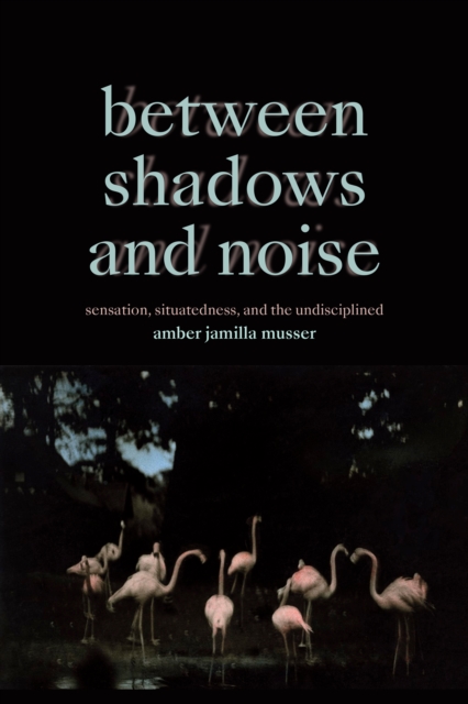 Between Shadows and Noise : Sensation, Situatedness, and the Undisciplined, Paperback / softback Book