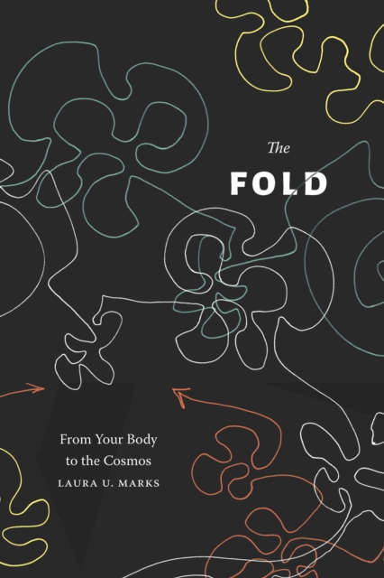 The Fold : From Your Body to the Cosmos, PDF eBook