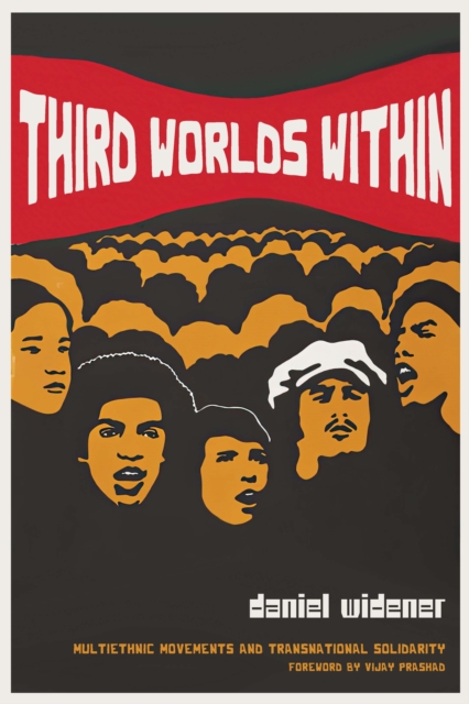 Third Worlds Within : Multiethnic Movements and Transnational Solidarity, PDF eBook