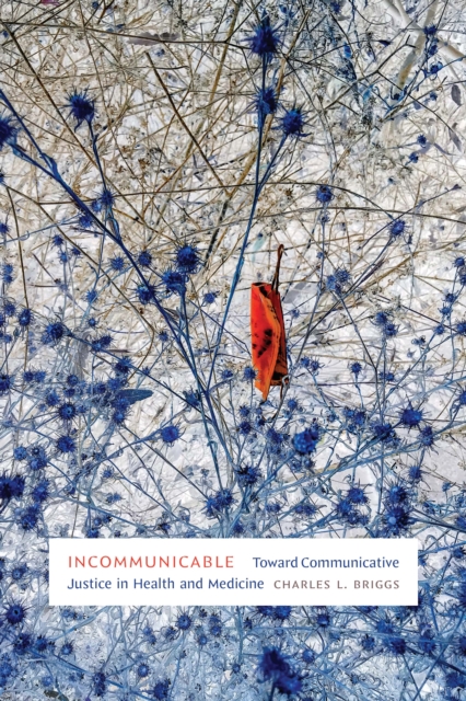 Incommunicable : Toward Communicative Justice in Health and Medicine, PDF eBook