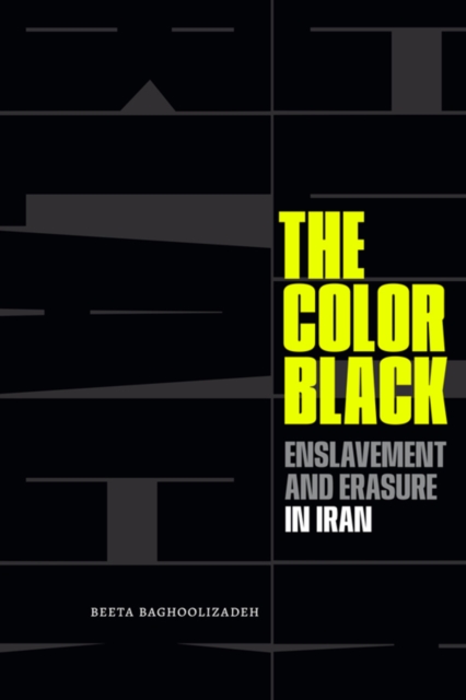 The Color Black : Enslavement and Erasure in Iran, PDF eBook