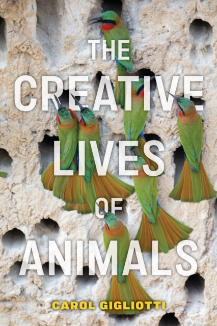 The Creative Lives of Animals, Hardback Book