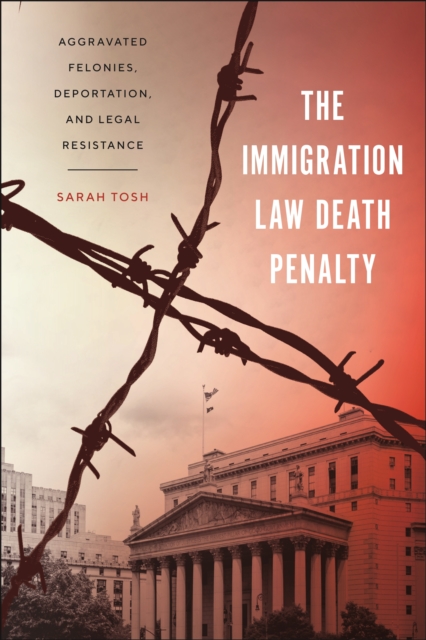 The Immigration Law Death Penalty : Aggravated Felonies, Deportation, and Legal Resistance, Paperback / softback Book