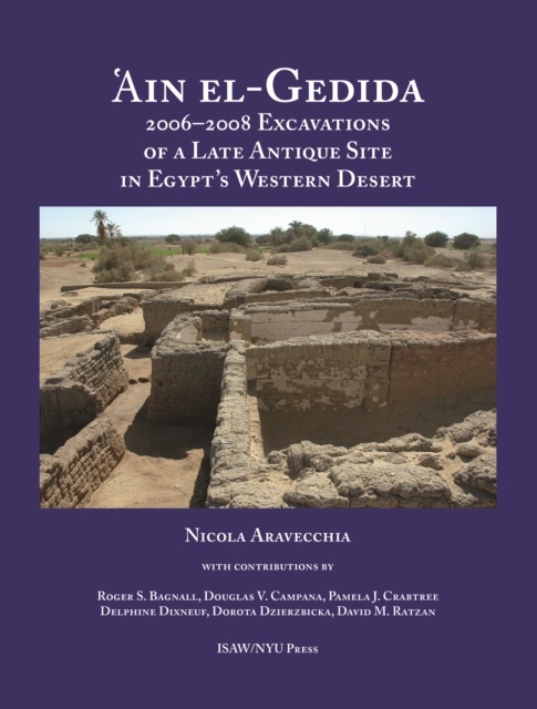 'Ain el-Gedida : 2006-2008 Excavations of a Late Antique Site in Egypt's Western Desert (Amheida IV), PDF eBook