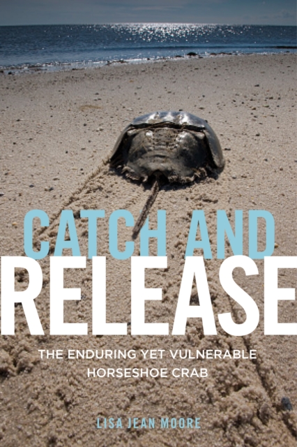 Catch and Release : The Enduring Yet Vulnerable Horseshoe Crab, EPUB eBook