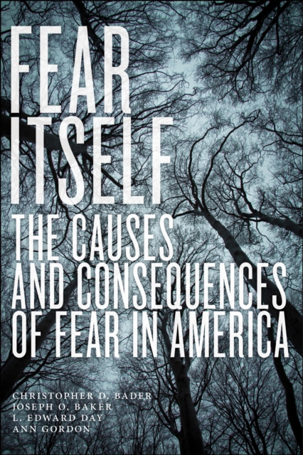 Fear Itself : The Causes and Consequences of Fear in America, Hardback Book
