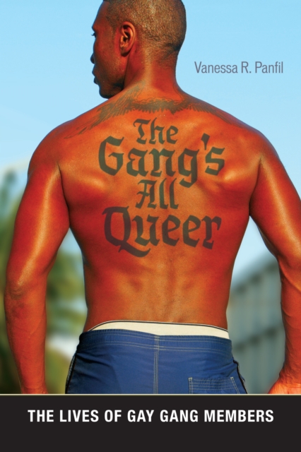 The Gang's All Queer : The Lives of Gay Gang Members, Paperback / softback Book