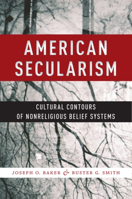 American Secularism : Cultural Contours of Nonreligious Belief Systems, Paperback / softback Book