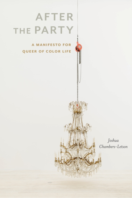 After the Party : A Manifesto for Queer of Color Life, Hardback Book