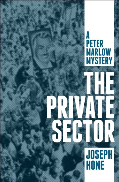 The Private Sector, EPUB eBook