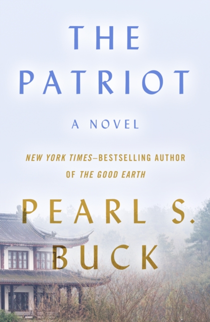 The Patriot : A Novel, EPUB eBook