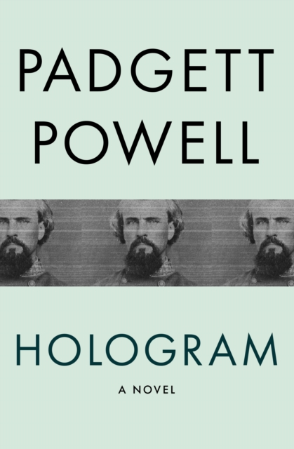 Hologram : A Novel, EPUB eBook
