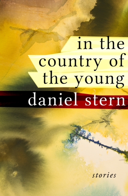 In the Country of the Young : Stories, EPUB eBook