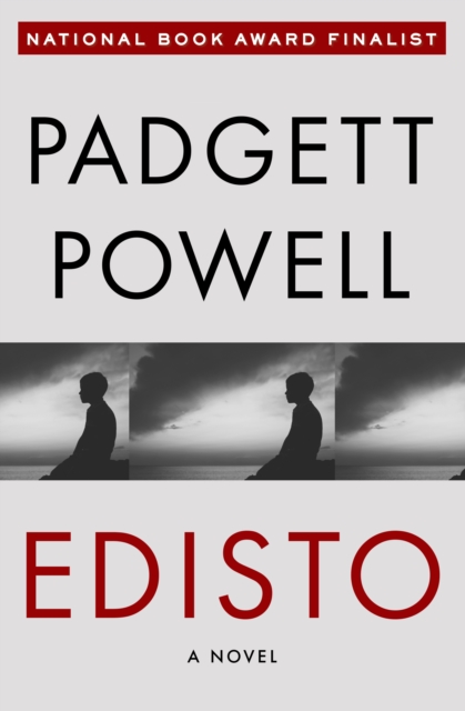 Edisto : A Novel, PDF eBook