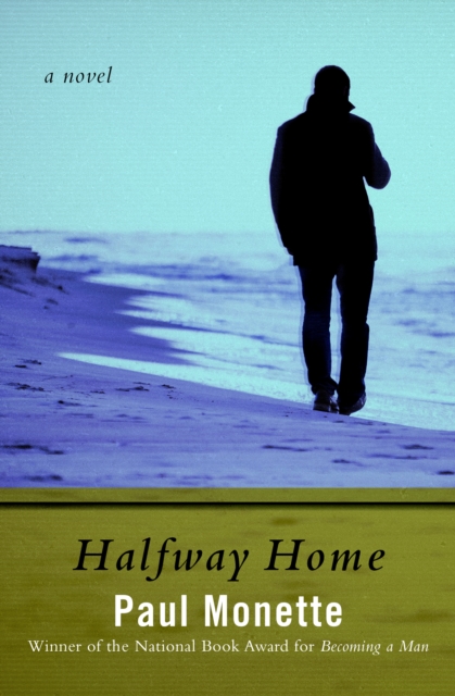 Halfway Home : A Novel, EPUB eBook