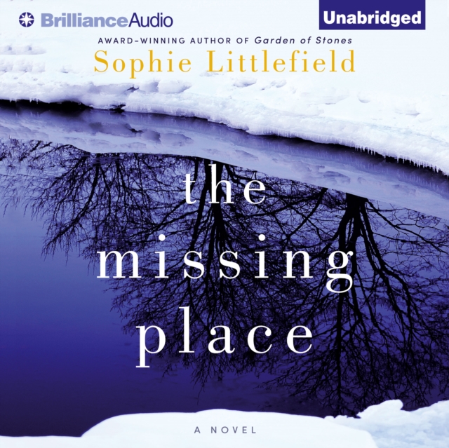 The Missing Place, eAudiobook MP3 eaudioBook
