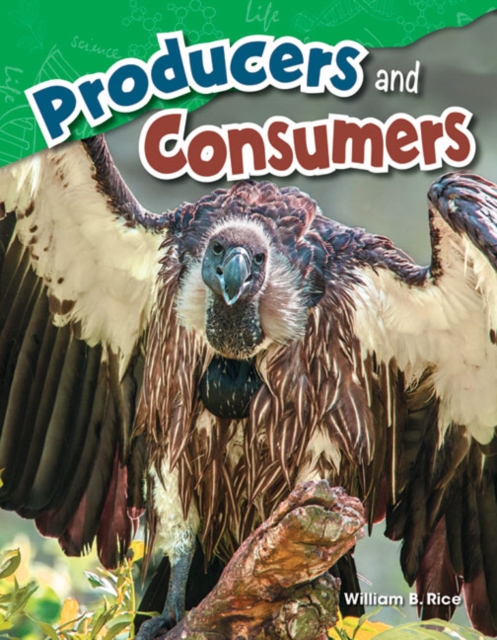 Producers and Consumers, PDF eBook