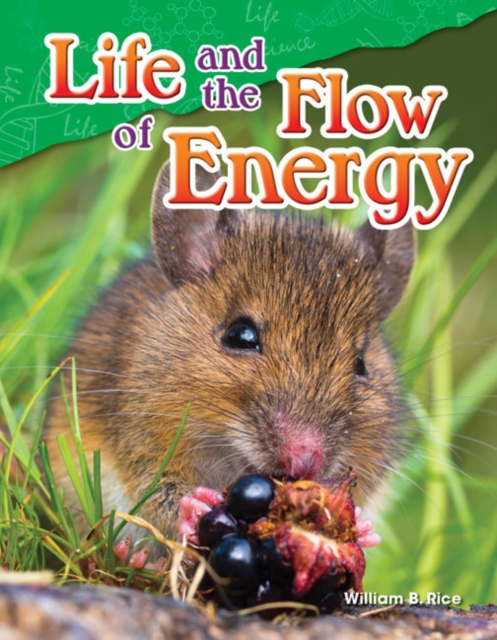 Life and the Flow of Energy, PDF eBook