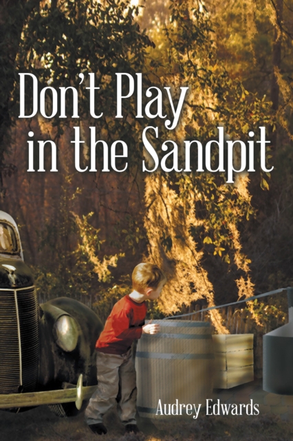 Don'T Play in the Sandpit, EPUB eBook