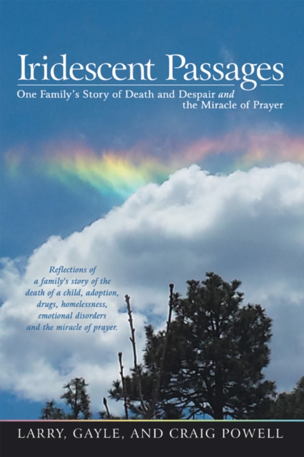 Iridescent Passages : One Family'S Story of Death and Despair and the Miracle of Prayer, EPUB eBook