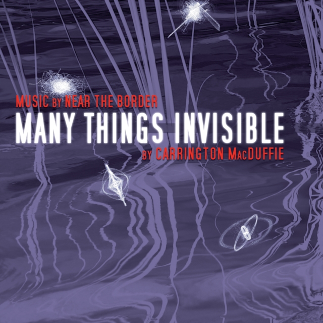 Many Things Invisible, eAudiobook MP3 eaudioBook