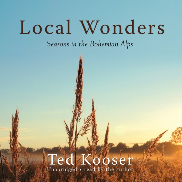 Local Wonders, eAudiobook MP3 eaudioBook