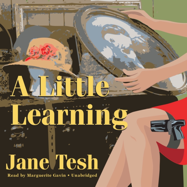 A Little Learning, eAudiobook MP3 eaudioBook