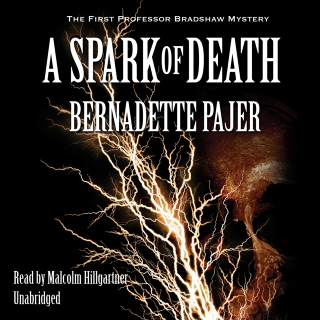 A Spark of Death, eAudiobook MP3 eaudioBook