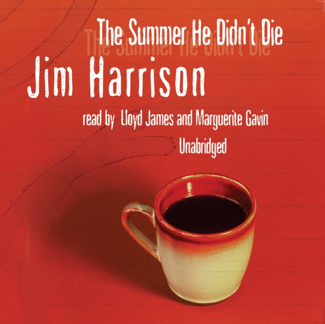 The Summer He Didn't Die, eAudiobook MP3 eaudioBook