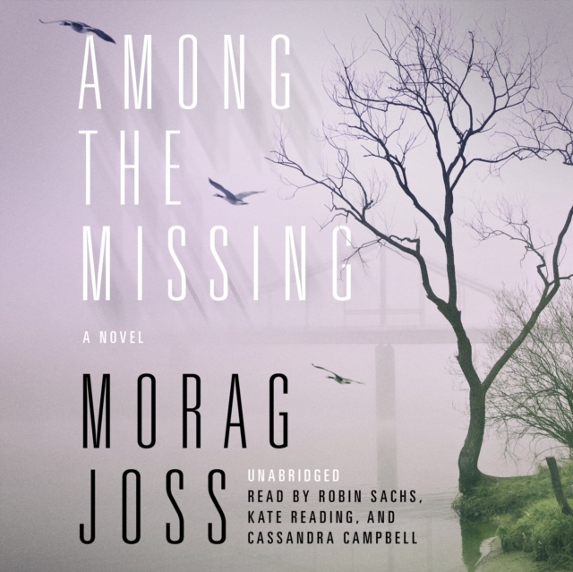 Among the Missing, eAudiobook MP3 eaudioBook