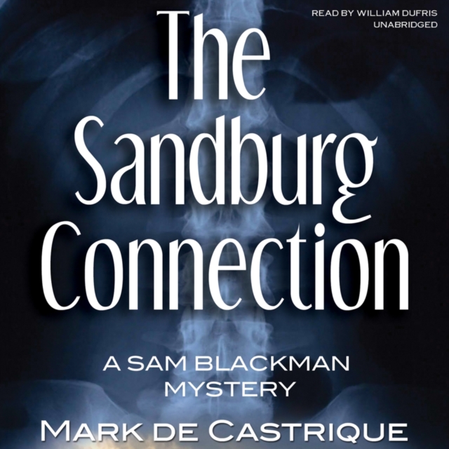 The Sandburg Connection, eAudiobook MP3 eaudioBook