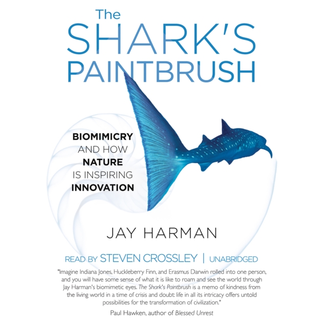 The Shark's Paintbrush, eAudiobook MP3 eaudioBook