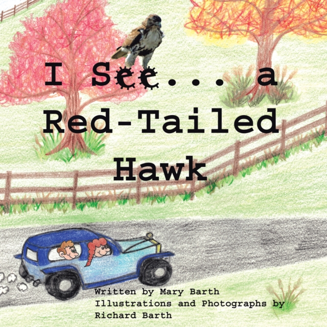 I See  . . . a Red-Tailed Hawk, EPUB eBook