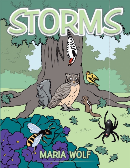 Storms, EPUB eBook