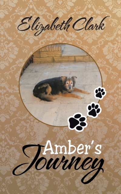 Amber's Journey, EPUB eBook