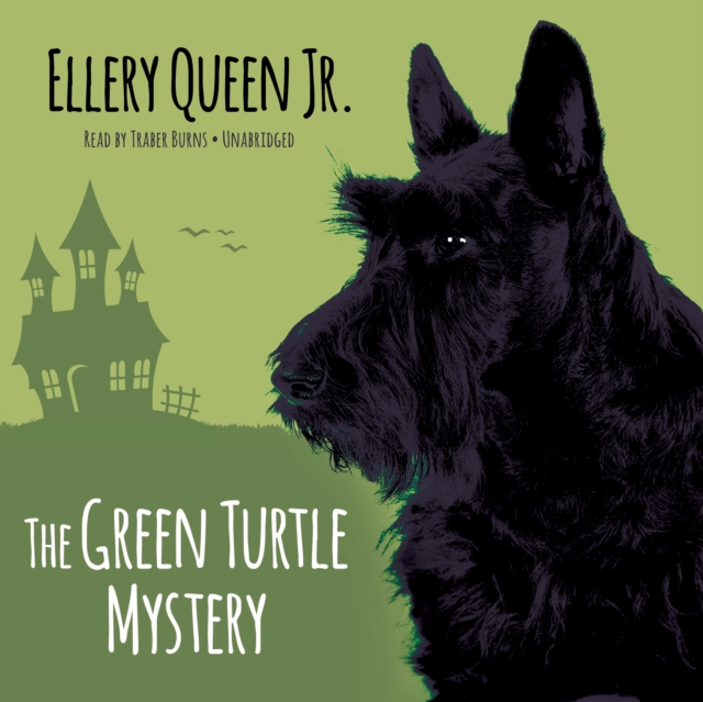 The Green Turtle Mystery, eAudiobook MP3 eaudioBook