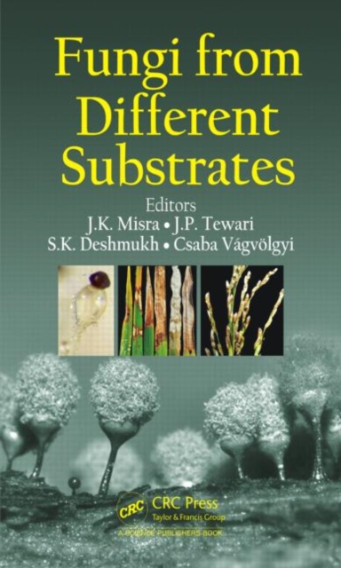 Fungi From Different Substrates, Hardback Book