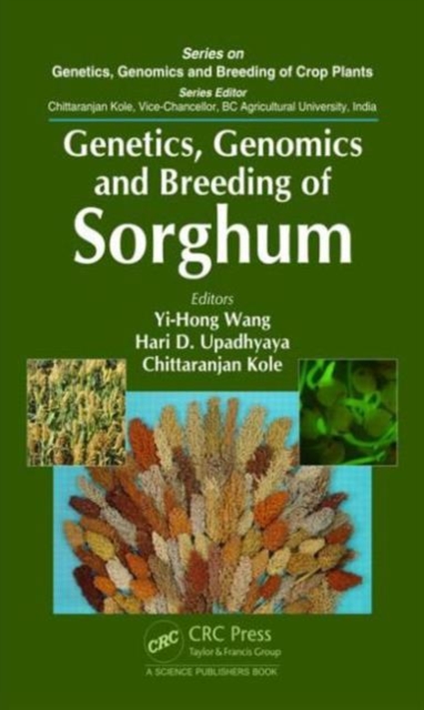 Genetics, Genomics and Breeding of Sorghum, Hardback Book