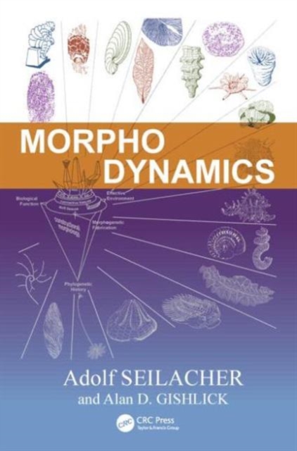 Morphodynamics, Hardback Book