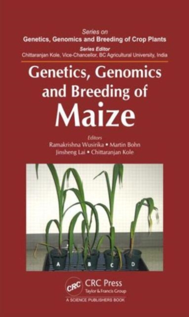 Genetics, Genomics and Breeding of Maize, Hardback Book