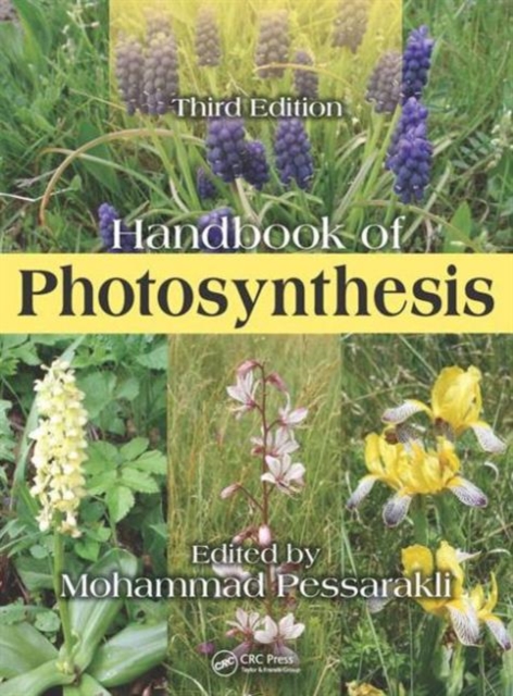 Handbook of Photosynthesis, Hardback Book
