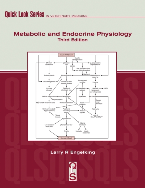 Metabolic and Endocrine Physiology, PDF eBook